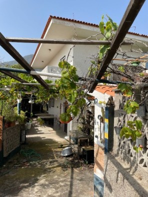 Jardín